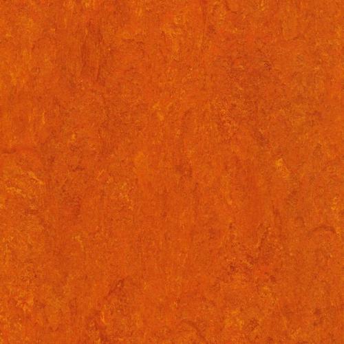
125-117 mandarin orange
