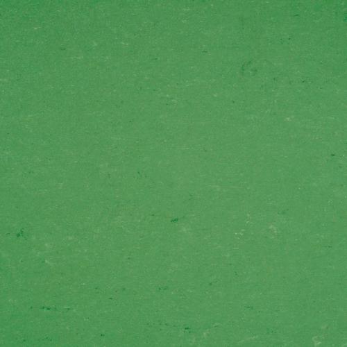 
131-006 vivid green
