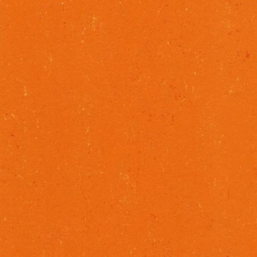 
131-170 kumquat orange
