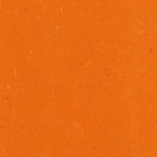 
137-170 kumquat orange
