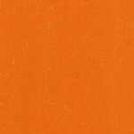 137-170 kumquat orange
